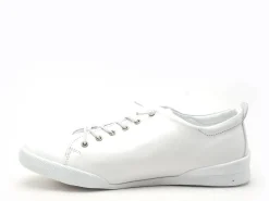 Andrea Conti 0345724 Blanc Baskets Basses Femme