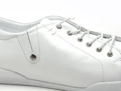 Andrea Conti 0345724 Blanc Baskets Basses Femme