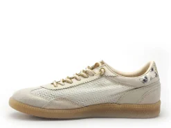 Cetti C1385 SRA Beige Baskets Basses Femme