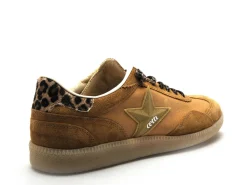 Cetti C1385 SRA Marron Baskets Basses Femme