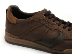 Fluchos Baskets F2273 Marron Baskets Basses Homme