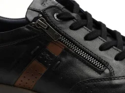 Fluchos F1281 Noir Baskets Basses Homme