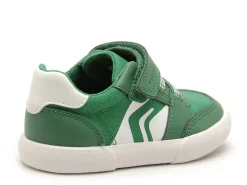 Geox B GISLI BOY Vert Baskets Basses Garçon