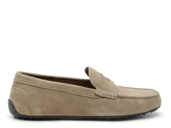 Geox U ISTRIA U653KB Beige Mocassins Homme