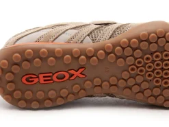 Geox U SNAKE ORIGINAL U55MNA Beige Baskets Basses Homme