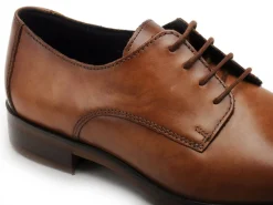 Lloyd ODIL Marron Chaussures de Ville Homme