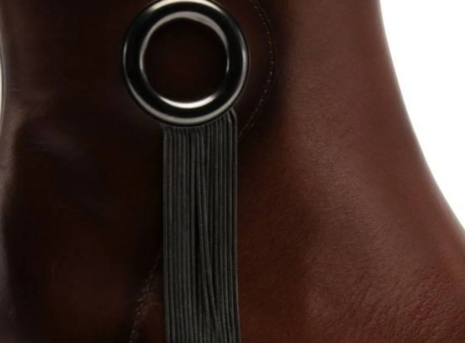 Mamzelle JULIUS Marron Boots et Bottines à Talons Femme