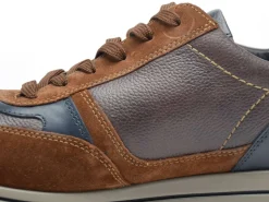 Mephisto GILFORD Marron Baskets Basses Homme
