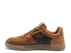 Redskins LERMA Marron Baskets Basses Homme