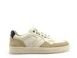 Redskins ZENICA Beige Baskets Basses Homme