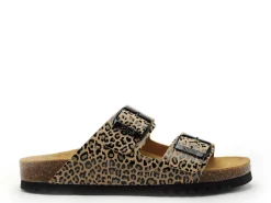 Scholl JOSEPHINE LEO Multicolore Mules et Sabots Plats Femme